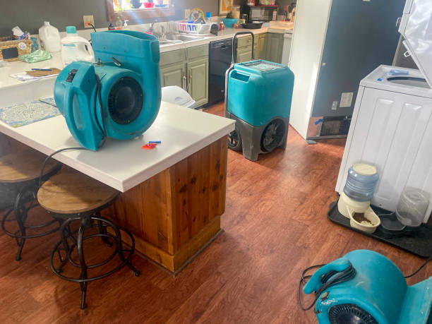 Best Flooded house restoration  in Bridgeport, WV