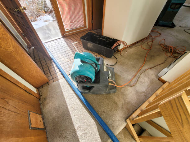 Best 24-hour water damage restoration  in Bridgeport, WV