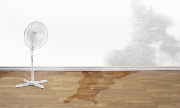 Best 24/7 water damage repair  in Bridgeport, WV