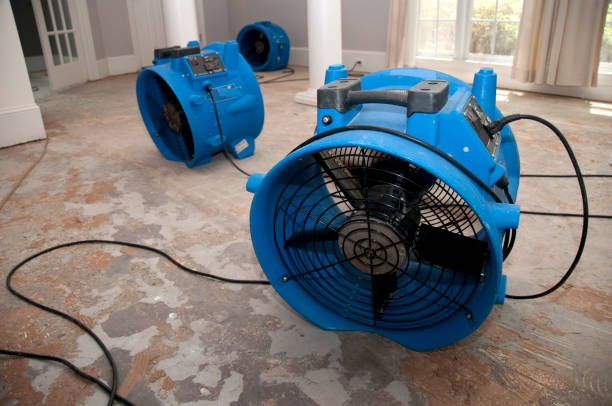 Best Water damage restoration mold remediation  in Bridgeport, WV