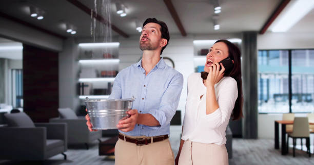 Best Water damage contractors near me  in Bridgeport, WV