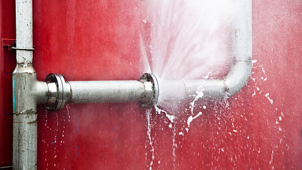 Best Basement water damage restoration  in Bridgeport, WV