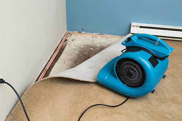 Best Water damage restoration near me  in Bridgeport, WV